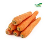 MARCHEW ŚWIEŻA NA SOK MYTA BIO (około 5,00 kg)