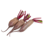 Buraki  Opolskie podłużne 0,50 kg EKO - Zielone Gospodarstwo  - Zamów do Poniedziałku godz. 10:00