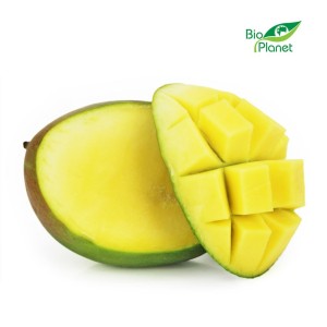 MANGO ŚWIEŻE BIO (około 0,30 kg) - Zamówienia przyjmujemy do wtorku do godz. 10:00