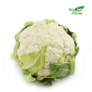 KALAFIOR ŚWIEŻY BIO (około 0,80 kg)- Zamówienia przyjmujemy do wtorku do godz. 10:00