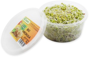 KIEŁKI BROKUŁA ŚWIEŻE BIO (około 50 g)  - Zamówienia przyjmujemy do wtorku do godz. 10:00