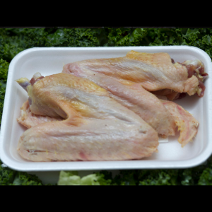 Skrzydło z Kaczki  świeże EKO 2 szt. (ok 450 g /tacka) POLSKIE EKO ZAGRODY (Zamawiaj do poniedziałku godz. 10:00)