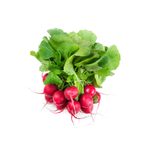 RZODKIEWKA EKO (1 pęczek) EKO ZAGRODY W (Zamawiaj do piątku godz. 10:00)