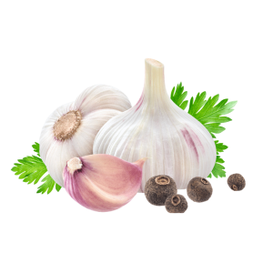 CZOSNEK MŁODY EKO POLSKA (1 szt.) EKO ZAGRODY W (Zamawiaj do piątku godz. 10:00)