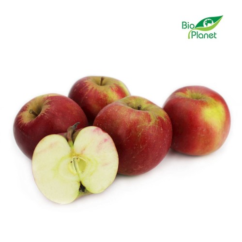 b2712945655a6f416cf6e40552d89715