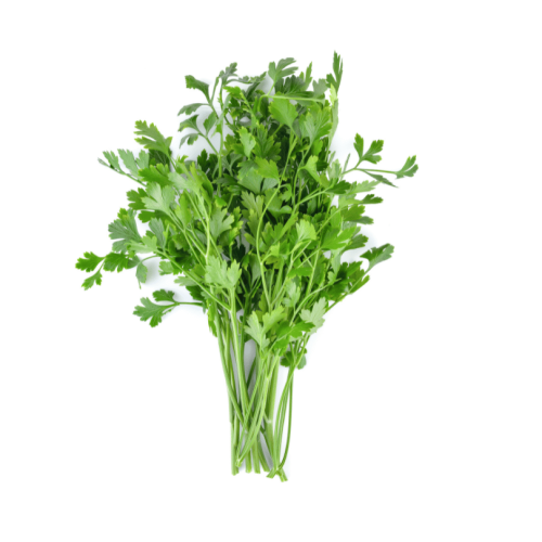 Projekt bez nazwy (12).png