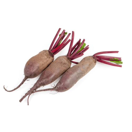 Buraki podłużne.png