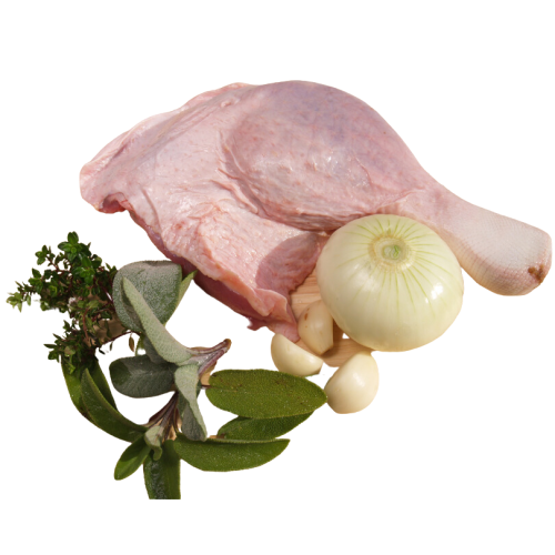 Projekt bez nazwy (60).png