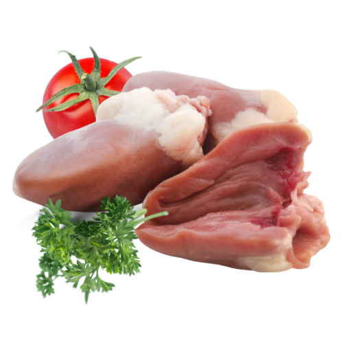 Projekt bez nazwy (38).png