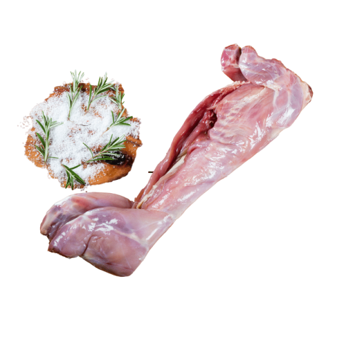 Królik Cały.png