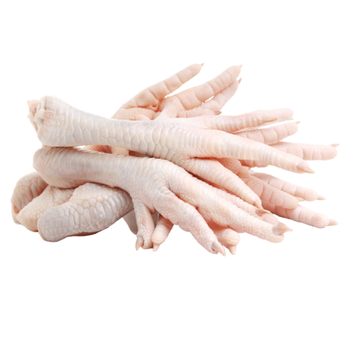 Projekt bez nazwy (4).png