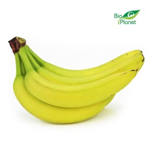 BANANY ŚWIEŻE BIO (około 0,60 kg) - Zamówienia przyjmujemy do wtorku do godz. 10:00