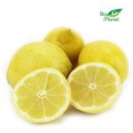 CYTRYNY ŚWIEŻE BIO (około 0,50 kg) - Zamówienia przyjmujemy do wtorku do godz. 10:00