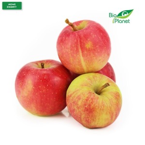 JABŁKA NA SOK ŚWIEŻE BIO (POLSKA) (około 1,00 kg)