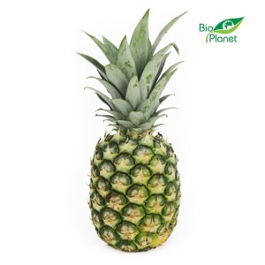 ANANAS ŚWIEŻY BIO (około 1 kg) - Zamówienia przyjmujemy do wtorku do godz. 10:00