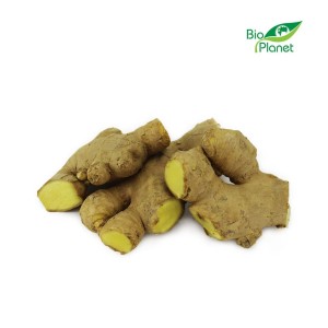 IMBIR ŚWIEŻY BIO (około 0,30 kg) - Zamówienia przyjmujemy do wtorku do godz. 10:00