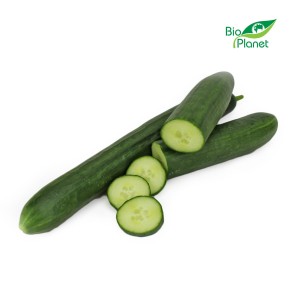 OGÓREK DŁUGI ŚWIEŻY BIO (około 0,25 kg)  - Zamówienia przyjmujemy do wtorku do godz. 10:00
