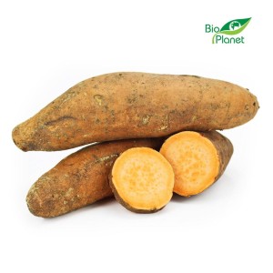BATATY POMARAŃCZOWE ŚWIEŻE BIO (około 1,00 kg) 