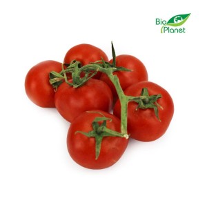 OPAKOWANIE ZBIORCZE (5 kg) - POMIDORY NA GAŁĄZCE ŚWIEŻE BIO