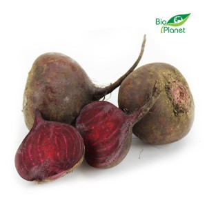 BURAKI CZERWONE ŚWIEŻE BIO (POLSKA) (około 5 kg) OPAKOWANIE ZBIORCZE