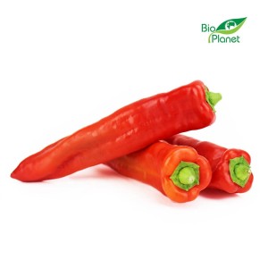 PAPRYKA DŁUGA ŚWIEŻA BIO (około 0,50 kg)  - Zamówienia przyjmujemy do wtorku do godz. 10:00