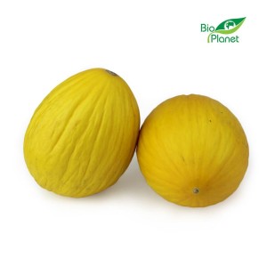 MELON ŚWIEŻY BIO POLSKA (około 1 kg)