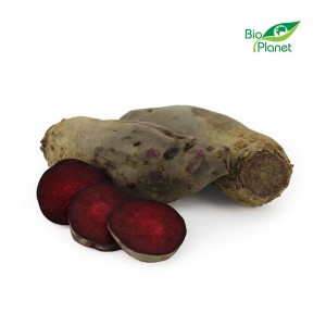 BURAKI PODŁUŻNE ŚWIEŻE BIO (POLSKA) (około 1,00 kg)