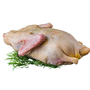 Kaczka połowa EKO cena za 1 kg (ok 0,80-1,1kg/szt .) - POLSKIE EKO ZAGRODY (Zamawiaj do poniedziałku godz. 10:00)