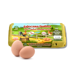 Jaja z chowu EKOLOG. "L"  10 szt.