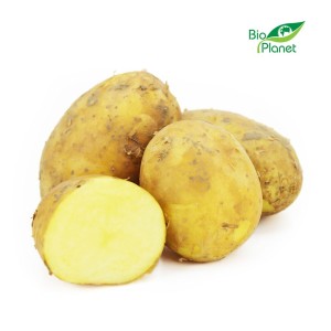ZIEMNIAKI ŻÓŁTE MŁODE ŚWIEŻE BIO (Włochy) (około 2,00 kg) Zamówienia przyjmujemy do wtorku do godz. 10:00